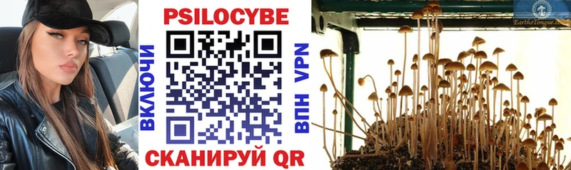 Псилоцибиновые грибы Cubensis  Орск 